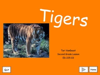 Tari VanGeest Second Grade Lesson ED 225-03 Tigers Home Quit 