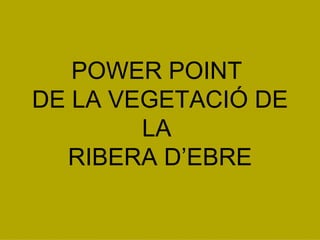 POWER POINT  DE LA VEGETACIÓ DE LA  RIBERA D’EBRE 
