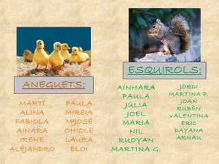 JORDI
MARTINA P.
JOAN
RUBÈN
VALENTINA
ERIC
DAYANA
ARNAU
AINHARA
PAULA
JÚLIA
JOEL
MARIA
NIL
RUOYAN
MARTINA G.
 