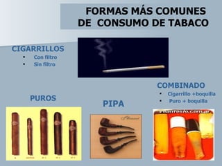 FORMAS MÁS COMUNES
                   DE CONSUMO DE TABACO

CIGARRILLOS
     Con filtro
     Sin filtro



                               COMBINADO
                                  Cigarrillo +boquilla
      PUROS                       Puro + boquilla
                      PIPA
 