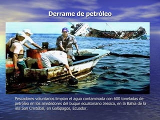 Derrame de petróleo Pescadores voluntarios limpian el agua contaminada con 600 toneladas de petróleo en los alrededores del buque ecuatoriano Jessica, en la Bahía de la isla San Cristóbal, en Galápagos, Ecuador. 