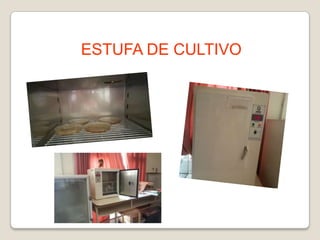 ESTUFA DE CULTIVO

 