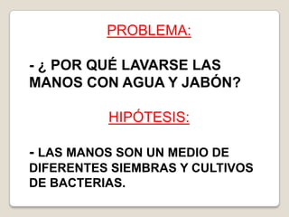PROBLEMA:
- ¿ POR QUÉ LAVARSE LAS
MANOS CON AGUA Y JABÓN?
HIPÓTESIS:

- LAS MANOS SON UN MEDIO DE
DIFERENTES SIEMBRAS Y CULTIVOS
DE BACTERIAS.

 