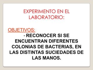 EXPERIMENTO EN EL
LABORATORIO:
OBJETIVOS:
- RECONOCER SI SE
ENCUENTRAN DIFERENTES
COLONIAS DE BACTERIAS, EN
LAS DISTINTAS SUCIEDADES DE
LAS MANOS.

 
