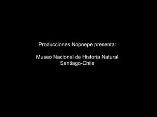 Producciones Nopoepe presenta: Museo Nacional de Historia Natural Santiago-Chile 