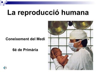 La reproducció humana


Coneixement del Medi

   6é de Primària
 