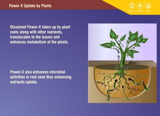 Power x- granules | PDF