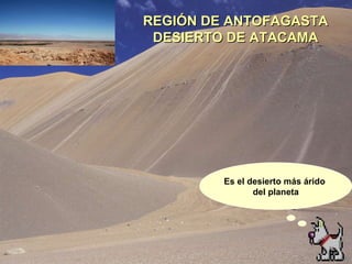 REGIÓN DE ANTOFAGASTA DESIERTO DE ATACAMA Es el desierto más árido  del planeta 