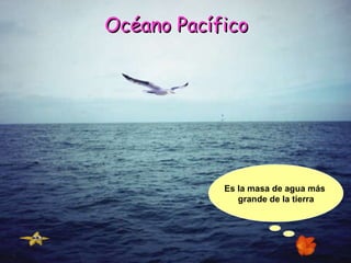 Océano Pacífico Es la masa de agua más  grande de la tierra 