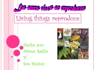 Hecho por: Aitana Reillo Y  Eva Muñoz Los seres vivos se reproducen 