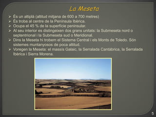  És un altiplà (altitud mitjana de 600 a 700 metres)
 És troba al centre de la Península Ibèrica.
 Ocupa el 45 % de la superfície peninsular.
 Al seu interior es distingeixen dos grans unitats: la Submeseta nord o
  septentrional i la Submeseta sud o Meridional.
 Dins la Meseta hi trobem el Sistema Central i els Monts de Toledo. Són
  sistemes muntanyosos de poca altitud.
 Voregen la Meseta: el massís Galaic, la Serralada Cantàbrica, la Serralada
  Ibèrica i Sierra Morena.




                                                                               5
 