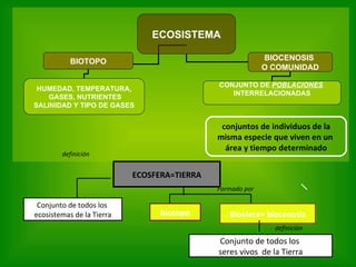conjuntos de individuos de la misma especie que viven en un  área y tiempo determinado ECOSFERA=TIERRA Conjunto de todos los  ecosistemas de la Tierra definición biotopo Biosfera= biocenosis Conjunto de todos los  seres vivos  de la Tierra definición Formado por ECOSISTEMA BIOTOPO BIOCENOSIS  O COMUNIDAD HUMEDAD, TEMPERATURA, GASES, NUTRIENTES SALINIDAD Y TIPO DE GASES CONJUNTO DE  POBLACIONES   INTERRELACIONADAS 