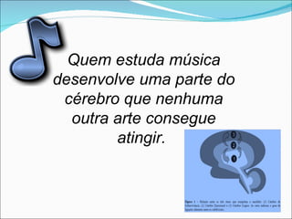 Quem estuda música desenvolve uma parte do cérebro que nenhuma outra arte consegue atingir.  