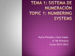Nuria Pintado y Sara López
            6º De Primaria
          Curso 2012/2013
 