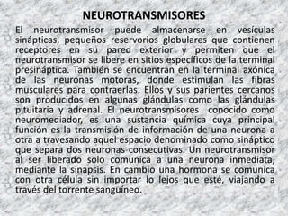 NEUROTRANSMISORES
El neurotransmisor puede almacenarse en vesículas
sinápticas, pequeños reservorios globulares que contienen
receptores en su pared exterior y permiten que el
neurotransmisor se libere en sitios específicos de la terminal
presináptica. También se encuentran en la terminal axónica
de las neuronas motoras, donde estimulan las fibras
musculares para contraerlas. Ellos y sus parientes cercanos
son producidos en algunas glándulas como las glándulas
pituitaria y adrenal. El neurotransmisores conocido como
neuromediador, es una sustancia química cuya principal
función es la transmisión de información de una neurona a
otra a travesando aquel espacio denominado como sináptico
que separa dos neuronas consecutivas. Un neurotransmisor
al ser liberado solo comunica a una neurona inmediata,
mediante la sinapsis. En cambio una hormona se comunica
con otra célula sin importar lo lejos que esté, viajando a
través del torrente sanguíneo.
 