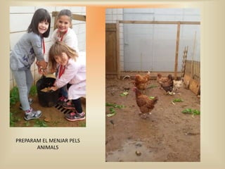 PREPARAM EL MENJAR PELS
ANIMALS
 