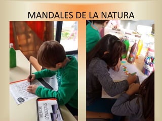 MANDALES DE LA NATURA
 