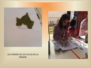 LES FORMES DE LES FULLES DE LA
TARDOR.
 
