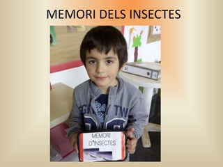 MEMORI DELS INSECTES
 