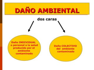 dos caras
Daño INDIVIDUAL
o personal a la salud
producido por el
ambiente
contaminado
DAÑO AMBIENTALDAÑO AMBIENTAL
Daño COLECTIVO
del ambiente
contaminado
 