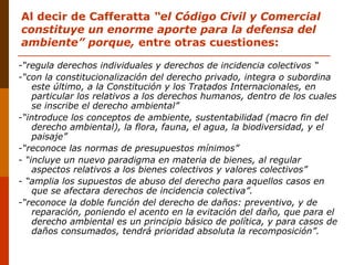 Al decir de Cafferatta “el Código Civil y Comercial
constituye un enorme aporte para la defensa del
ambiente” porque, entre otras cuestiones:
-“regula derechos individuales y derechos de incidencia colectivos “
-“con la constitucionalización del derecho privado, integra o subordina
este último, a la Constitución y los Tratados Internacionales, en
particular los relativos a los derechos humanos, dentro de los cuales
se inscribe el derecho ambiental”
-“introduce los conceptos de ambiente, sustentabilidad (macro fin del
derecho ambiental), la flora, fauna, el agua, la biodiversidad, y el
paisaje”
-“reconoce las normas de presupuestos mínimos”
- “incluye un nuevo paradigma en materia de bienes, al regular
aspectos relativos a los bienes colectivos y valores colectivos”
- “amplia los supuestos de abuso del derecho para aquellos casos en
que se afectara derechos de incidencia colectiva”.
-“reconoce la doble función del derecho de daños: preventivo, y de
reparación, poniendo el acento en la evitación del daño, que para el
derecho ambiental es un principio básico de política, y para casos de
daños consumados, tendrá prioridad absoluta la recomposición”.
 
