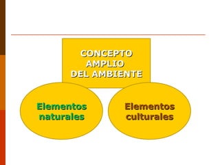 CONCEPTOCONCEPTO
AMPLIOAMPLIO
DEL AMBIENTEDEL AMBIENTE
ElementosElementos
naturalesnaturales
ElementosElementos
culturalesculturales
 