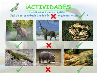 ¡ACTIVIDADES!
Los dinosaurios eran réptiles...
Cual de estos animales no lo són y quienes lo són ?
 