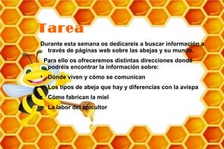 Tarea
Durante esta semana os dedicareis a buscar información a
  través de páginas web sobre las abejas y su mundo.
    Para ello os ofreceremos distintas direcciones donde
     podréis encontrar la información sobre:

     Dónde viven y cómo se comunican

     Los tipos de abeja que hay y diferencias con la avispa

     Cómo fabrican la miel

     La labor del apicultor
 