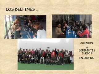 LOS DELFINES … JUGARON  A DIFERENTESJUEGOS EN GRUPOS  