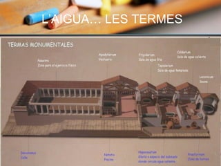 L’AIGUA… LES TERMES
 