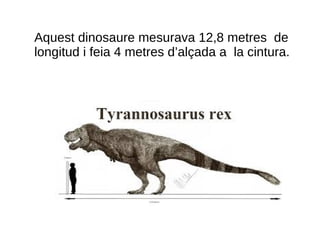Aquest dinosaure mesurava 12,8 metres de
longitud i feia 4 metres d’alçada a la cintura.
 