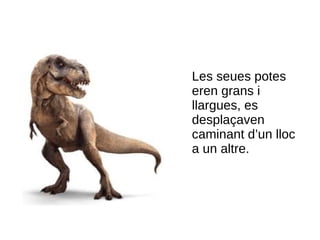 Les seues potes
eren grans i
llargues, es
desplaçaven
caminant d’un lloc
a un altre.
 