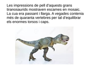 Les impressions de pell d’aquests grans
tiranosaurids mostraven escames en mosaic.
La cua era passant i llarga. A vegades contenia
més de quaranta vertebres per tal d’equilibrar
els enormes torsos i caps.
 