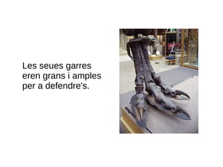 Les seues garres
eren grans i amples
per a defendre's.
 