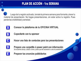 Plan de Acción - DS