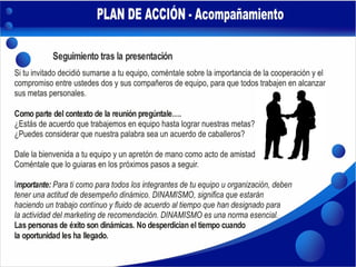 Plan de Acción - DS