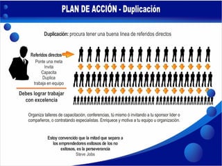 Plan de Acción - DS