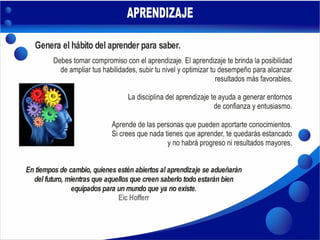 Plan de Acción - DS