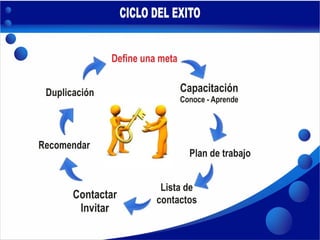 Plan de Acción - DS