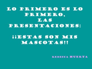 Lo primero es lo primero, las presentaciones: ¡¡ESTAS SON MIS MASCOTAS!! Rebecca  Huerta 