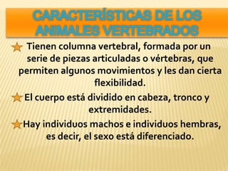 Animales Vertebrados | PPTX