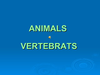     ANIMALS    VERTEBRATS 