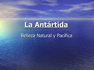 La Antártida Belleza Natural y Pacífica 