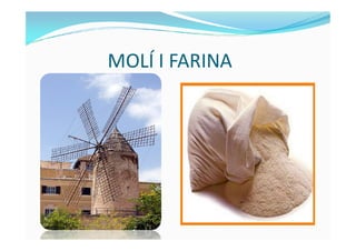MOLÍ I FARINA
 