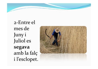 2-Entre el
mes de
Juny iJuny i
Juliol es
segava
amb la falç
i l’esclopet.
 