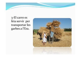 3-El carro es
feia servir per
transportar les
garbes a l’Era.garbes a l’Era.
 