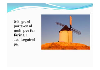 6-El gra el
portaven al
molí per fer
farina ifarina i
aconseguir el
pa.
 