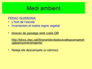 Medi ambient
FEDAC GUISSONA:
• L’hort de l’escola
• Inventariem el nostre regne vegetal
• Itinerari de paisatge amb codis QR
http://blocs.xtec.cat/itinerarideviladecavallsacansanah
ujapipinyoner/projecte/
• Neteja els descampats (o camins):
 