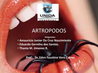 ARTROPODOS
                   Integrantes:
• Amauricio Junior Da Cruz Nascimiento
• Eduardo Gerntho dos Santos.
• Thania M. Jimenez R.

     Prof.: Dr. Eden Faustino Vera Cabral
 