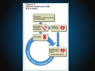Paro Cardio Respiratorio + RCP